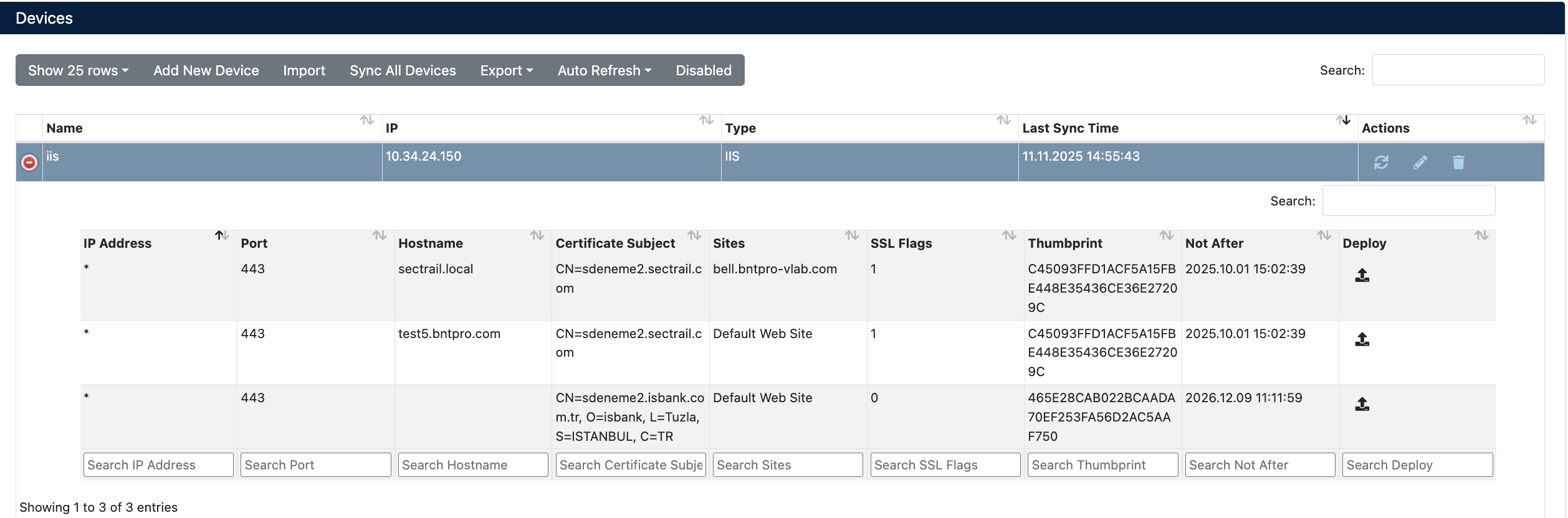 IIS Cihaz Detayları ve Virtual Server Listesi