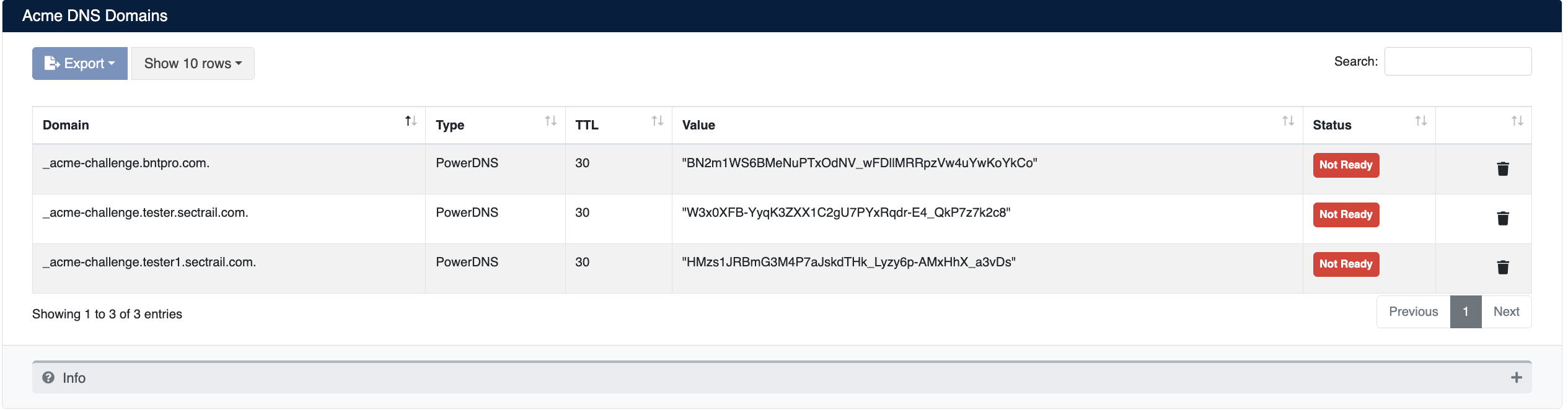 ACME DNS Domains