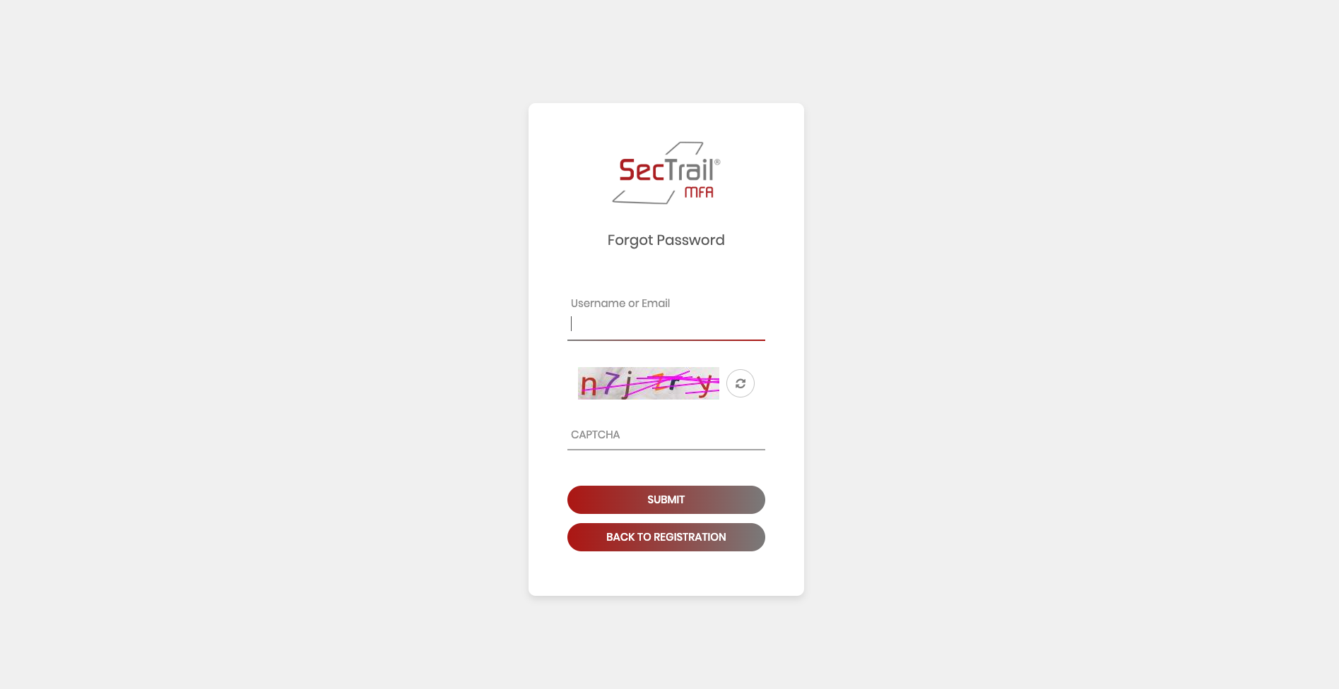 Forgot Password Form